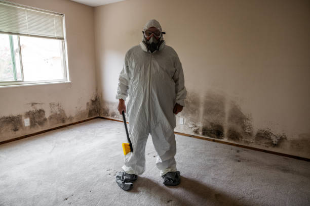 Water Damage Restoration in Harrington, DE